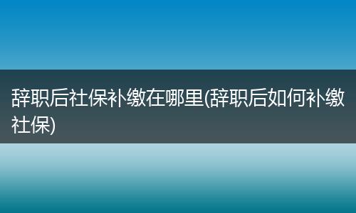 辞职后社保补缴在哪里(辞职后如何补缴社保)