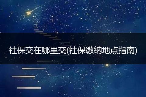 社保交在哪里交(社保缴纳地点指南)