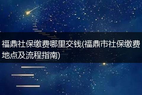 福鼎社保缴费哪里交钱(福鼎市社保缴费地点及流程指南)