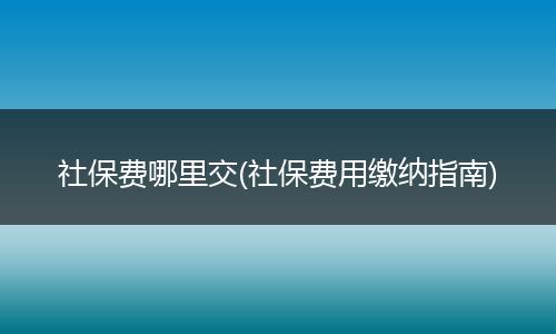 社保费哪里交(社保费用缴纳指南)