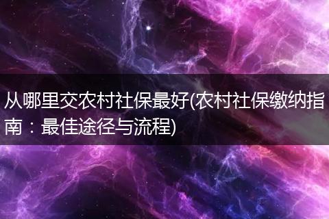 从哪里交农村社保最好(农村社保缴纳指南：最佳途径与流程)