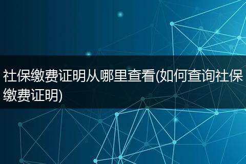 社保缴费证明从哪里查看(如何查询社保缴费证明)