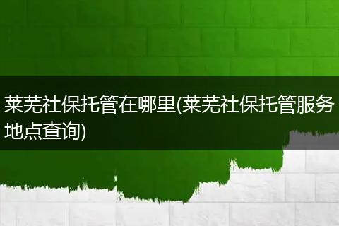 莱芜社保托管在哪里(莱芜社保托管服务地点查询)