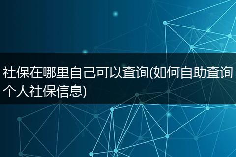 社保在哪里自己可以查询(如何自助查询个人社保信息)