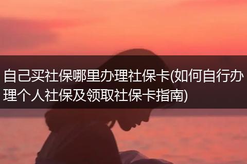自己买社保哪里办理社保卡(如何自行办理个人社保及领取社保卡指南)