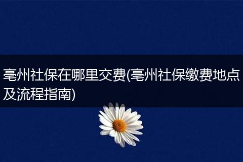 亳州社保在哪里交费(亳州社保缴费地点及流程指南)