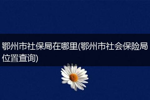 鄂州市社保局在哪里(鄂州市社会保险局位置查询)