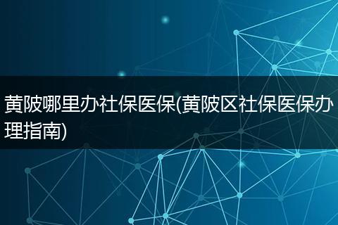 黄陂哪里办社保医保(黄陂区社保医保办理指南)