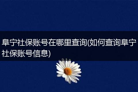 阜宁社保账号在哪里查询(如何查询阜宁社保账号信息)