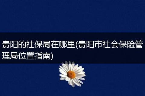 贵阳的社保局在哪里(贵阳市社会保险管理局位置指南)