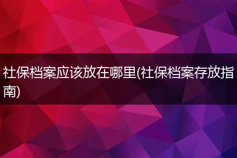 社保档案应该放在哪里(社保档案存放指南)