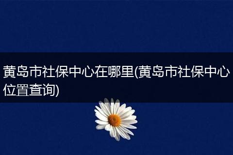 黄岛市社保中心在哪里(黄岛市社保中心位置查询)