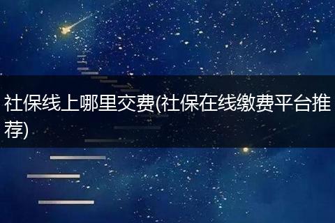 社保线上哪里交费(社保在线缴费平台推荐)