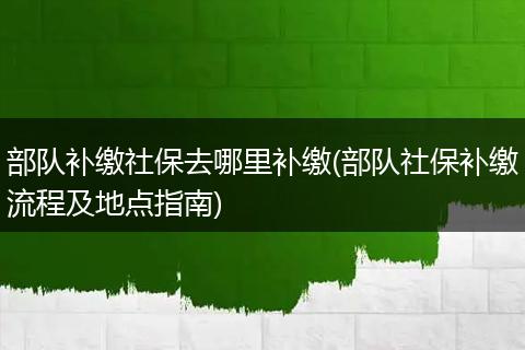 部队补缴社保去哪里补缴(部队社保补缴流程及地点指南)