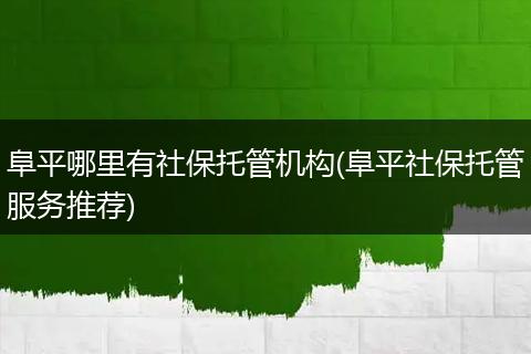 阜平哪里有社保托管机构(阜平社保托管服务推荐)