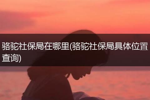 骆驼社保局在哪里(骆驼社保局具体位置查询)