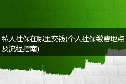 私人社保在哪里交钱(个人社保缴费地点及流程指南)