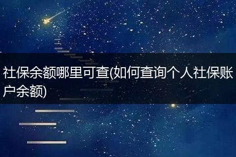 社保余额哪里可查(如何查询个人社保账户余额)