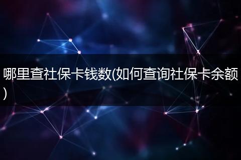 哪里查社保卡钱数(如何查询社保卡余额)