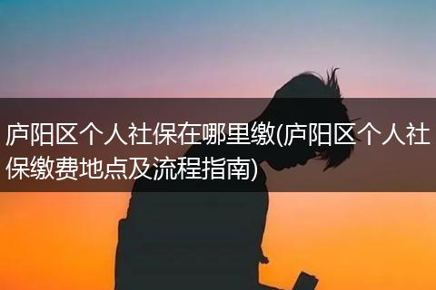 庐阳区个人社保在哪里缴(庐阳区个人社保缴费地点及流程指南)