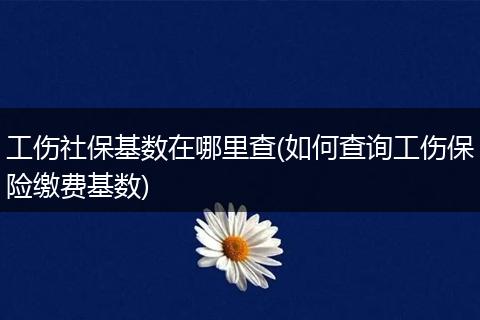 工伤社保基数在哪里查(如何查询工伤保险缴费基数)