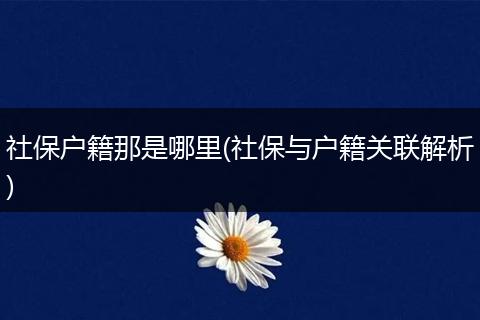 社保户籍那是哪里(社保与户籍关联解析)