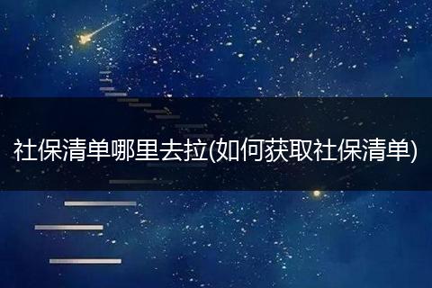 社保清单哪里去拉(如何获取社保清单)
