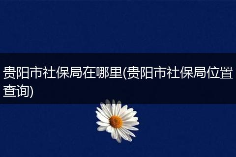 贵阳市社保局在哪里(贵阳市社保局位置查询)