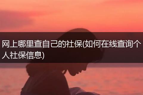 网上哪里查自己的社保(如何在线查询个人社保信息)