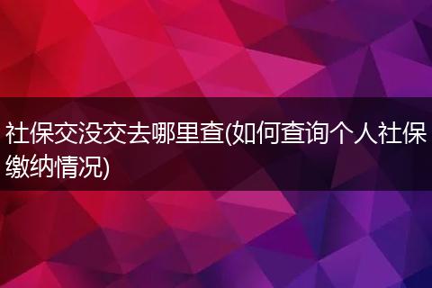 社保交没交去哪里查(如何查询个人社保缴纳情况)