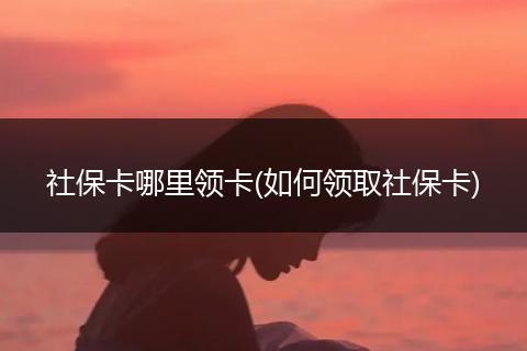 社保卡哪里领卡(如何领取社保卡)