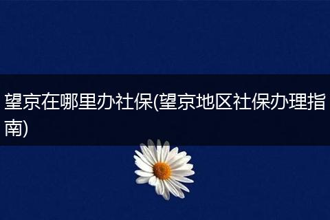 望京在哪里办社保(望京地区社保办理指南)