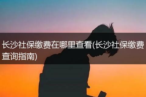 长沙社保缴费在哪里查看(长沙社保缴费查询指南)