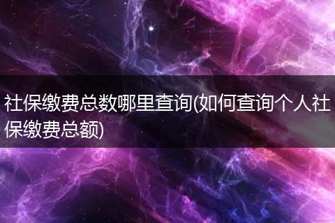 社保缴费总数哪里查询(如何查询个人社保缴费总额)