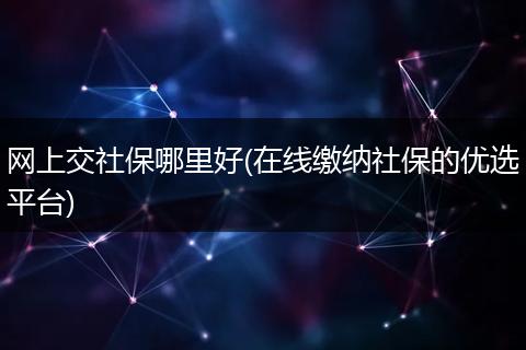 网上交社保哪里好(在线缴纳社保的优选平台)
