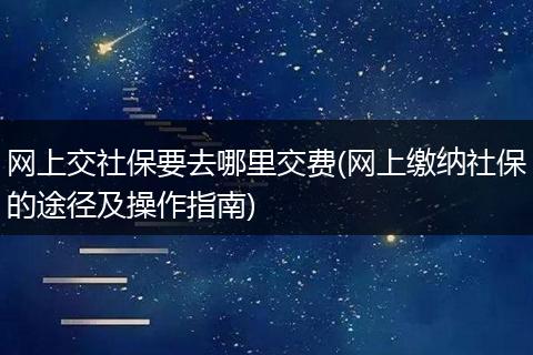 网上交社保要去哪里交费(网上缴纳社保的途径及操作指南)