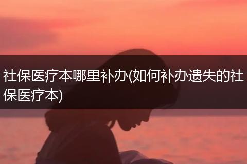 社保医疗本哪里补办(如何补办遗失的社保医疗本)