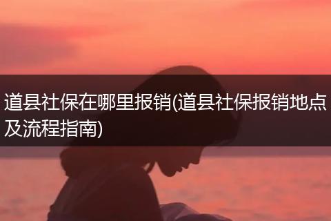 道县社保在哪里报销(道县社保报销地点及流程指南)