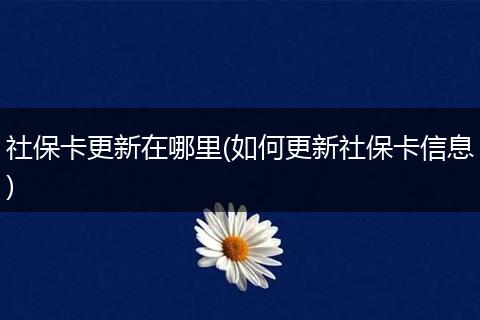 社保卡更新在哪里(如何更新社保卡信息)
