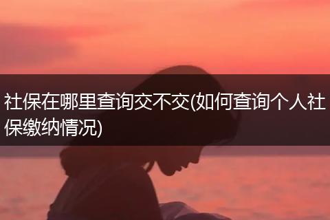 社保在哪里查询交不交(如何查询个人社保缴纳情况)