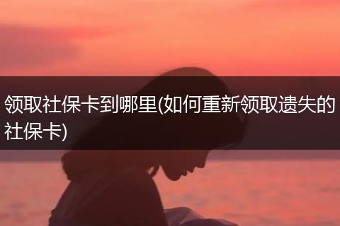 领取社保卡到哪里(如何重新领取遗失的社保卡)