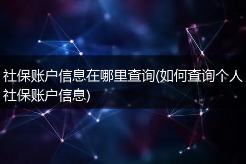 社保账户信息在哪里查询(如何查询个人社保账户信息)