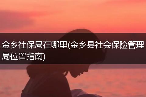 金乡社保局在哪里(金乡县社会保险管理局位置指南)