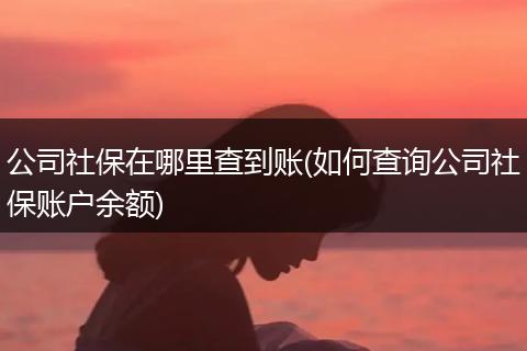 公司社保在哪里查到账(如何查询公司社保账户余额)