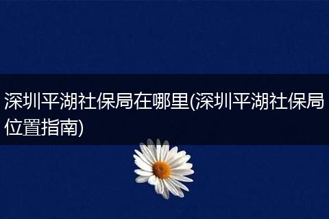 深圳平湖社保局在哪里(深圳平湖社保局位置指南)