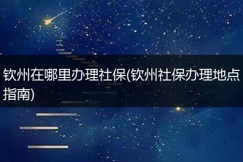 钦州在哪里办理社保(钦州社保办理地点指南)