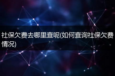 社保欠费去哪里查呢(如何查询社保欠费情况)