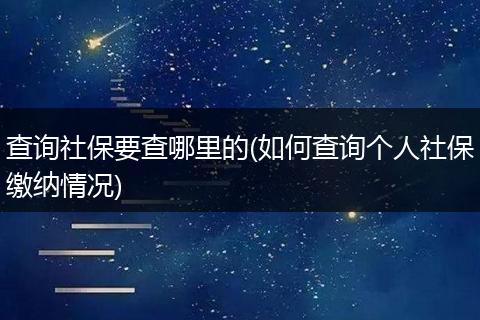 查询社保要查哪里的(如何查询个人社保缴纳情况)