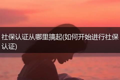 社保认证从哪里搞起(如何开始进行社保认证)