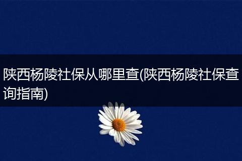 陕西杨陵社保从哪里查(陕西杨陵社保查询指南)
